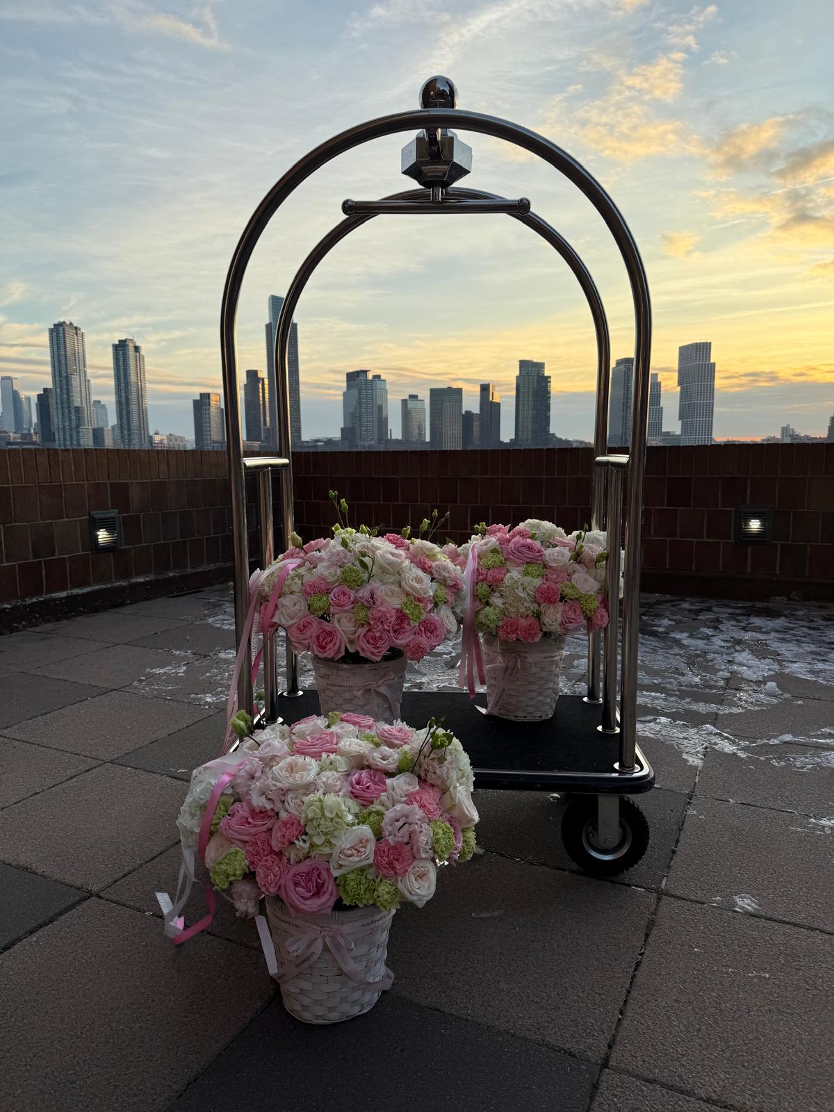 Timeless Petals