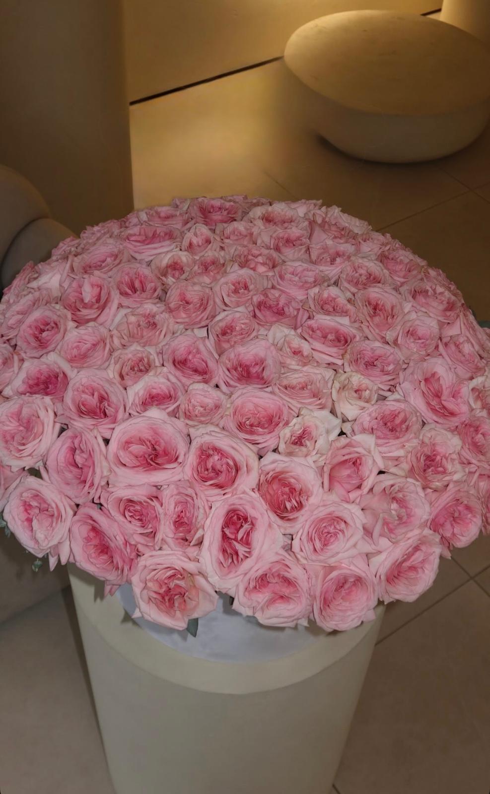 Royal Garden Roses