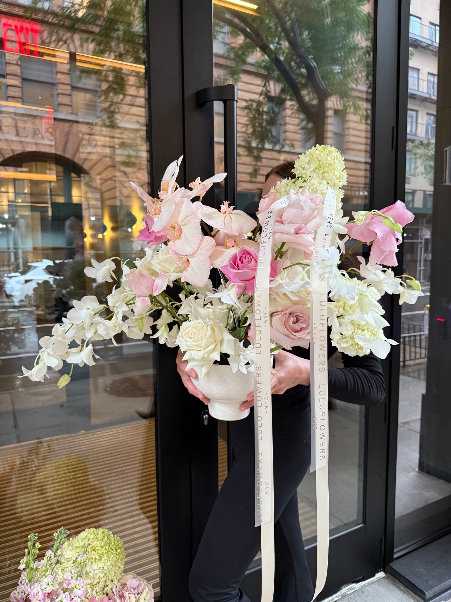 Orchid Whisper