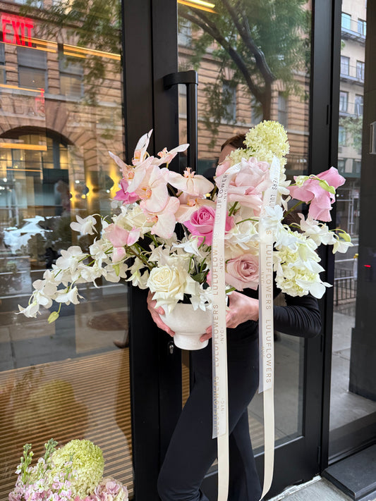 Orchid Whisper