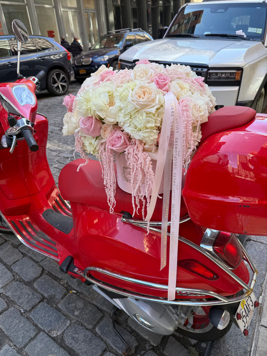 Fresh Bloom Symphony