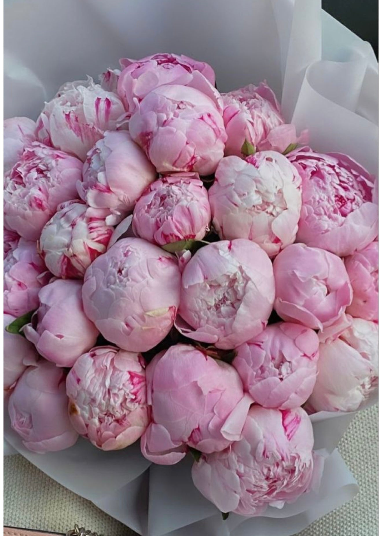 Beautiful peonies 30