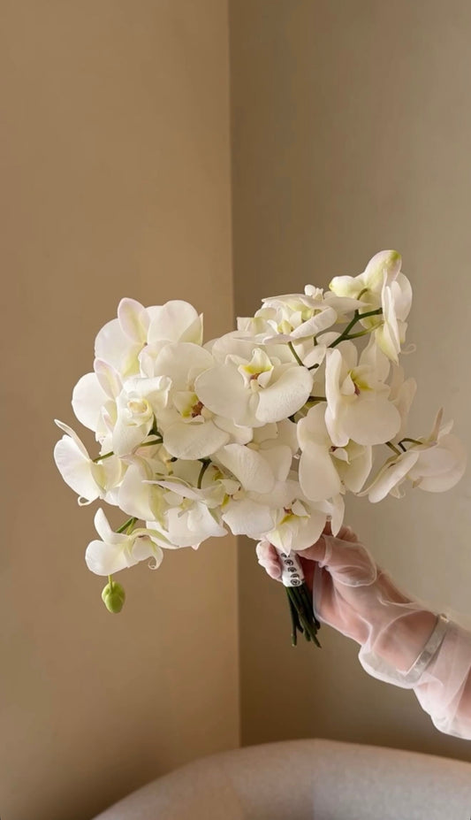 Orchid Kiss