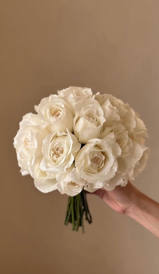 The Glow of Roses