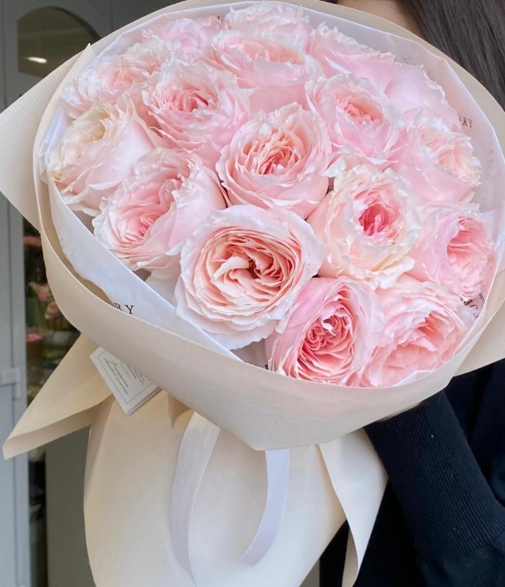 Roses in Light Pink Color