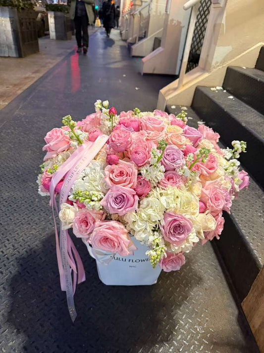 Signature Blush Collection